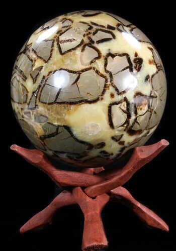 Polished Septarian Sphere - lbs #43788